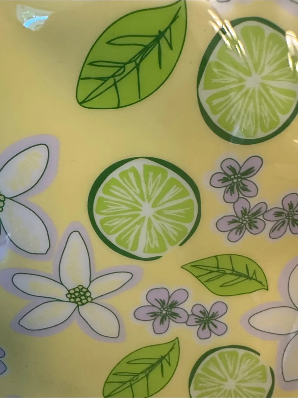 VTG 2006 Avon Naturals Lime Blossom Cosmetic Pouch Bag NWOT